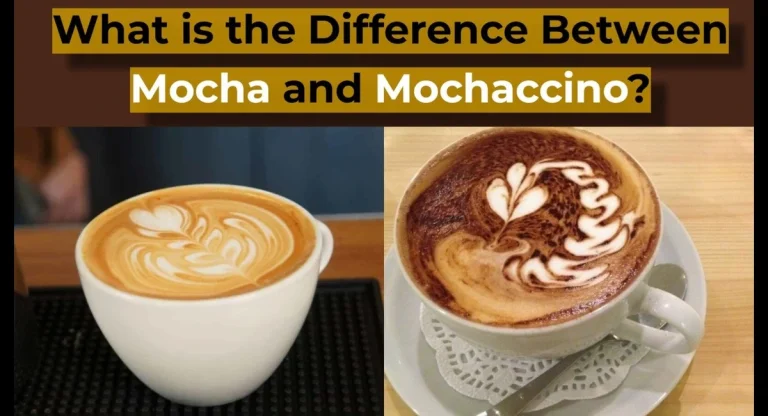 Differences-Between-Cappuccino-and-Mocha